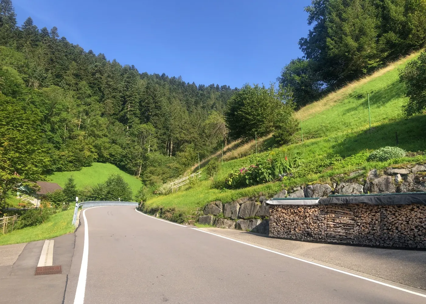 Horizon-Motor-Reizen---Zwarte-Woud-2023-36